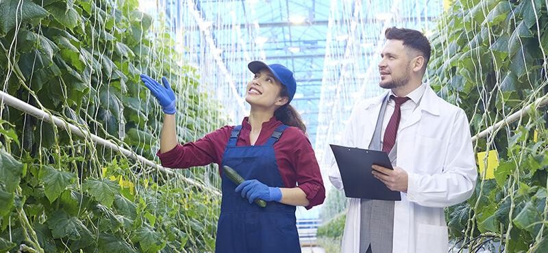 5 Aplicações do BI no Agrobusiness